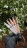 NAIL REPUBLIC   Гель-лак однофазный   10мл   ONE STEP NUDE   #010